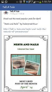 Nails & Nests